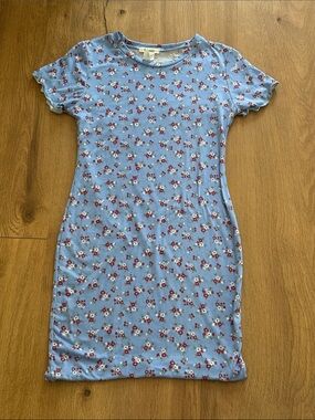 Lysse Light Blue Floral Stretch Tee Dress with Red & White Flowers